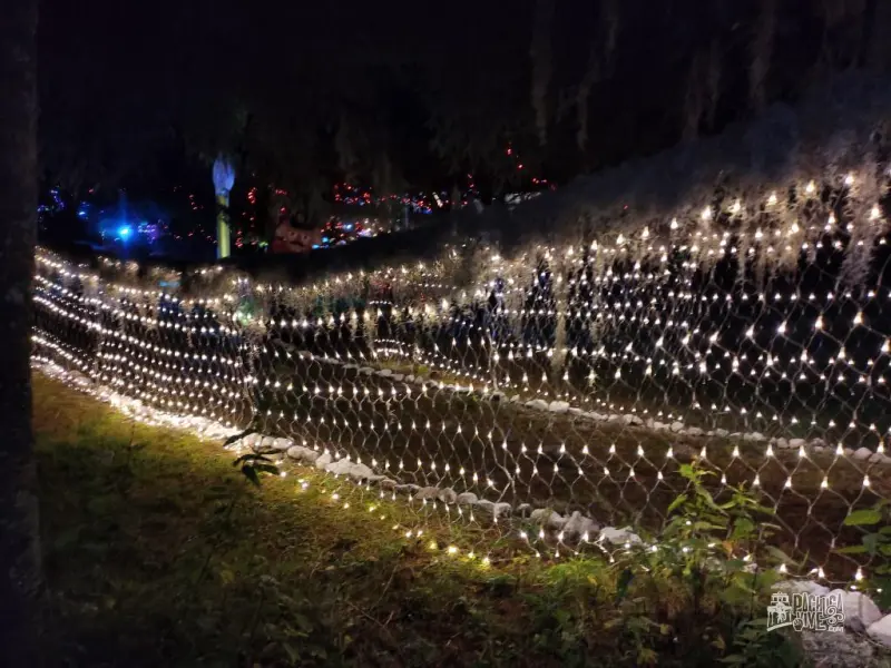 Así es el Bosque Iluminado 2022, la atracción navideña entre árboles cerca de Pachuca