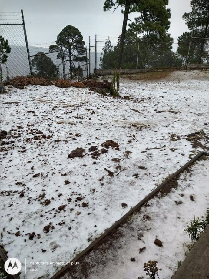 Clima ártico provoca nevadas en el centro del país