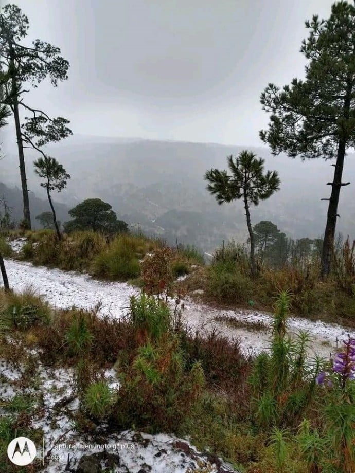 Clima ártico provoca nevadas en el centro del país