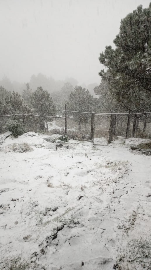 Clima ártico provoca nevadas en el centro del país