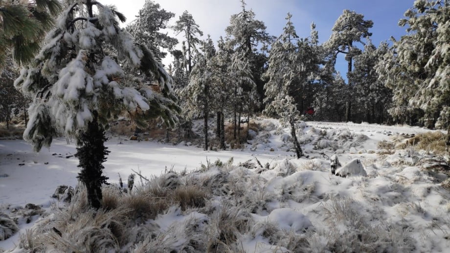 Clima ártico provoca nevadas en el centro del país