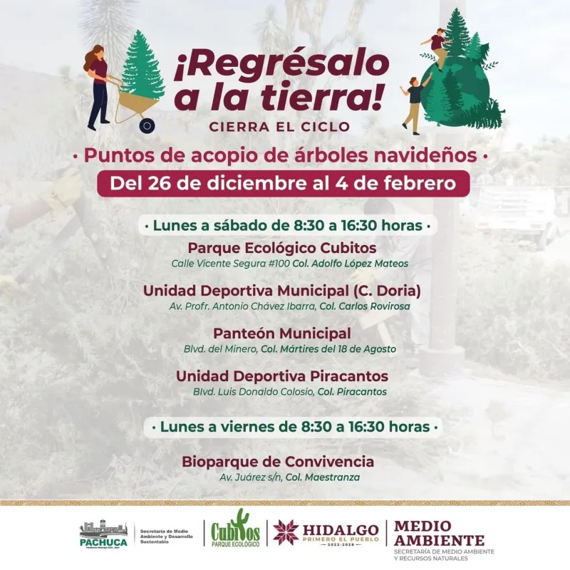 No lo tires a la basura, ¡recíclalo! Abren centros de acopio para árboles de Navidad en Pachuca