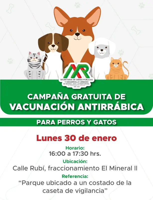 Habrá vacunación antirrábica gratuita para peluditos en Mineral de la Reforma