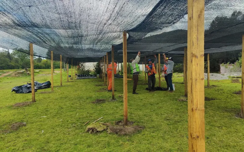 SICT emite aclaración por el impacto ambiental en las obras de la carretera Real del Monte - Huasca