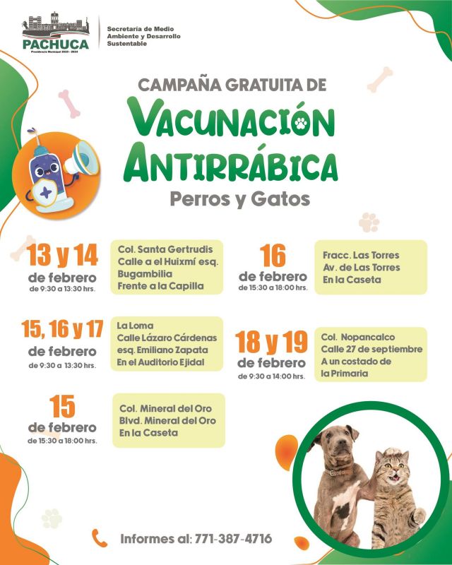 Vacunación antirrábica gratuita para peluditos, esta semana en Pachuca