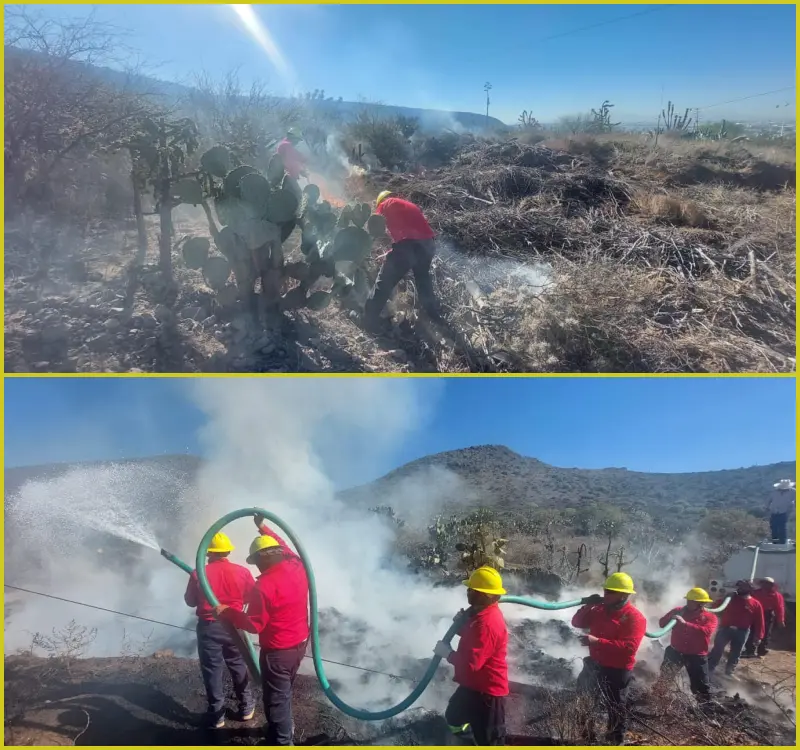 ¿Por qué están quemando el Parque Ecológico de Cubitos? Esta es la razón