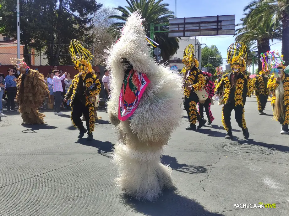 Hidalgo está de Carnaval: así se viven los carnavales en Pachuca | fotos y video