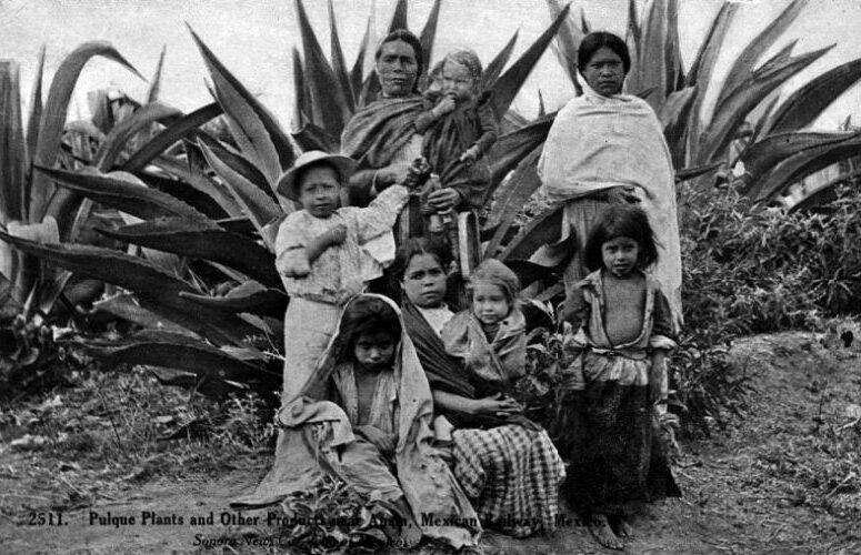 Fotos antiguas de la bebida de los dioses para celebrar el Día del Pulque