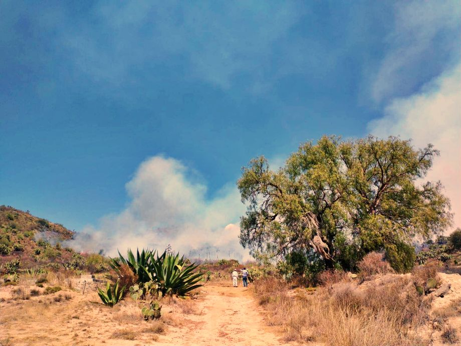 ¡#Fuego! 🔥 Evacúan universidad de Pachuca por fuerte incendio