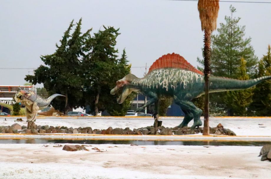 Pachuca se tiñe de blanco con intensa granizada (fotos y videos)