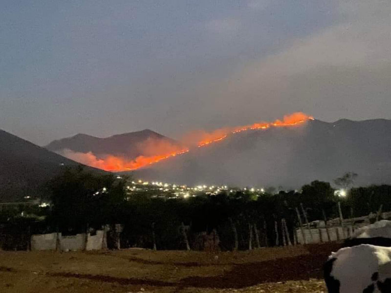 Incendio forestal en el Valle del Mezquital está fuera de control