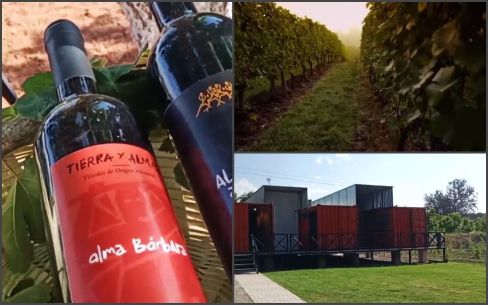 #Videos 🍷 En junio abrirá un nuevo viñedo en Hidalgo, ahora en un Pueblo Mágico