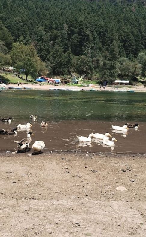 ¡Se está quedando sin agua! Estiaje y fuerte calor secan al Parque Nacional El Chico (fotos)