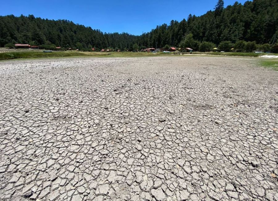 ¡Se está quedando sin agua! Estiaje y fuerte calor secan al Parque Nacional El Chico (fotos)