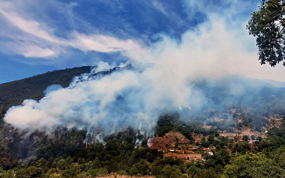 Incendio ha arrasado con 80 hectáreas de flora y fauna silvestre en Parque Nacional de Hidalgo
