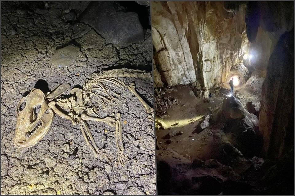 Causa asombro esqueleto encontrado en caverna poco explorada de Hidalgo