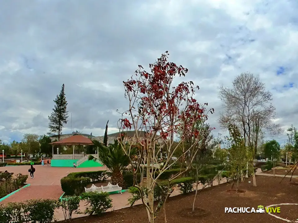 #Galería 🌳 Comienza a llenarse otra vez de vida y color el Jardín de los Hombres Ilustres de Pachuca