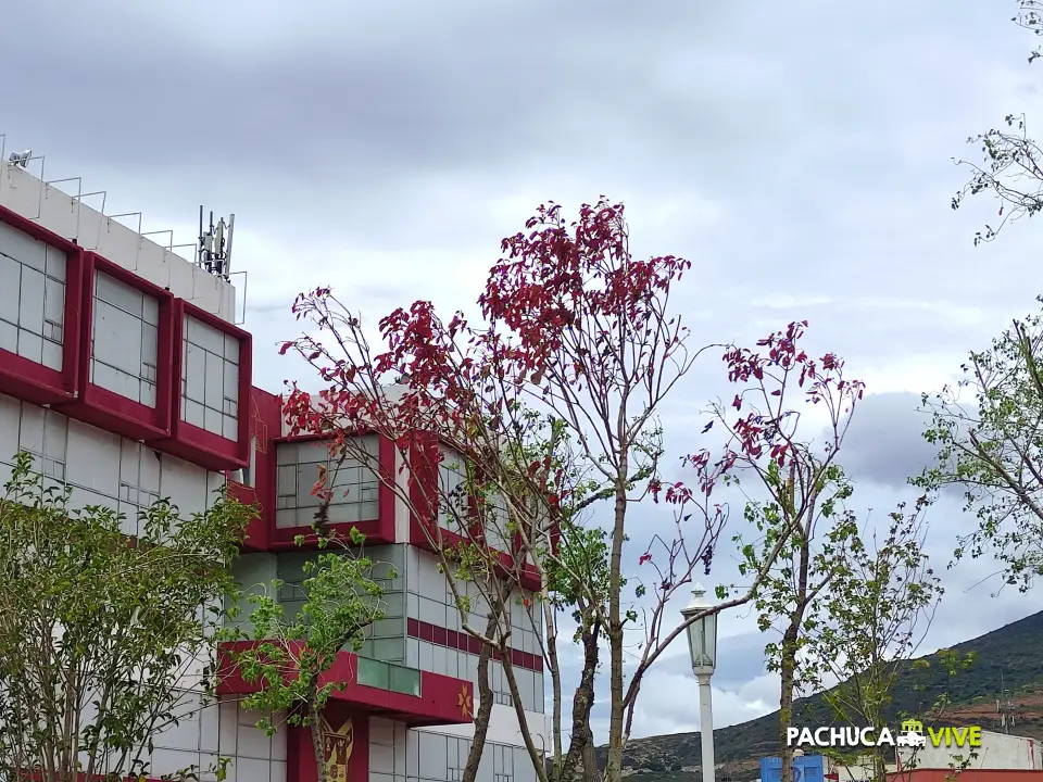 #Galería 🌳 Comienza a llenarse otra vez de vida y color el Jardín de los Hombres Ilustres de Pachuca