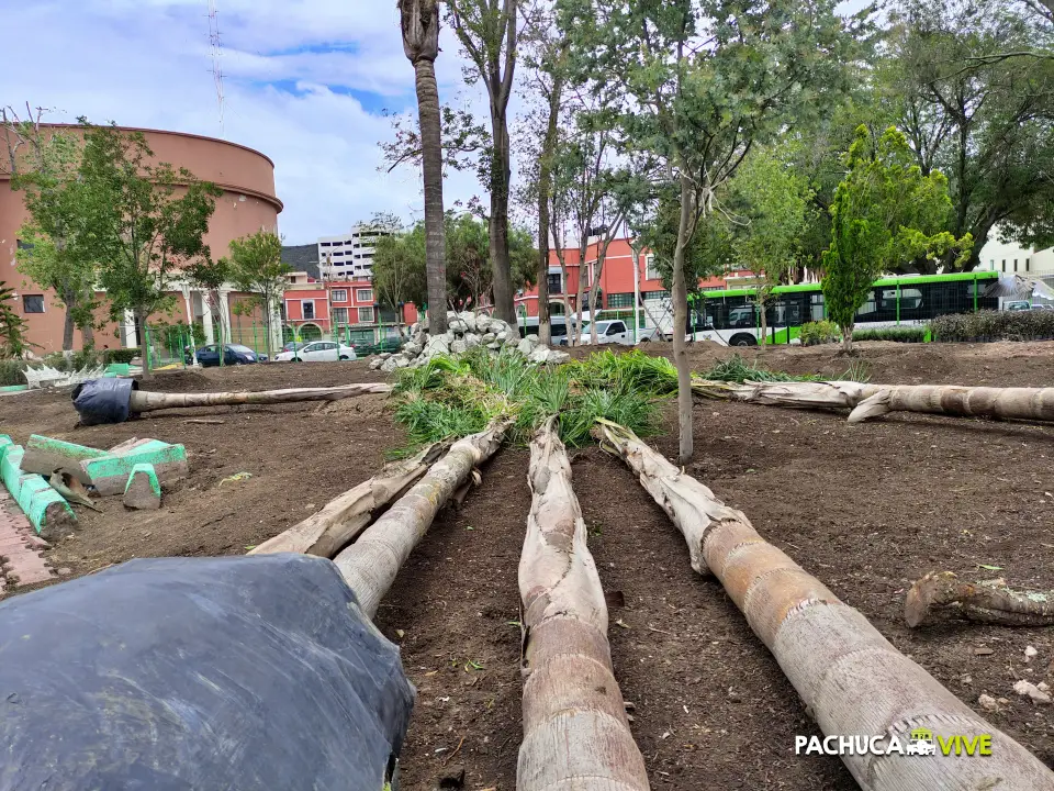 #Galería 🌳 Comienza a llenarse otra vez de vida y color el Jardín de los Hombres Ilustres de Pachuca