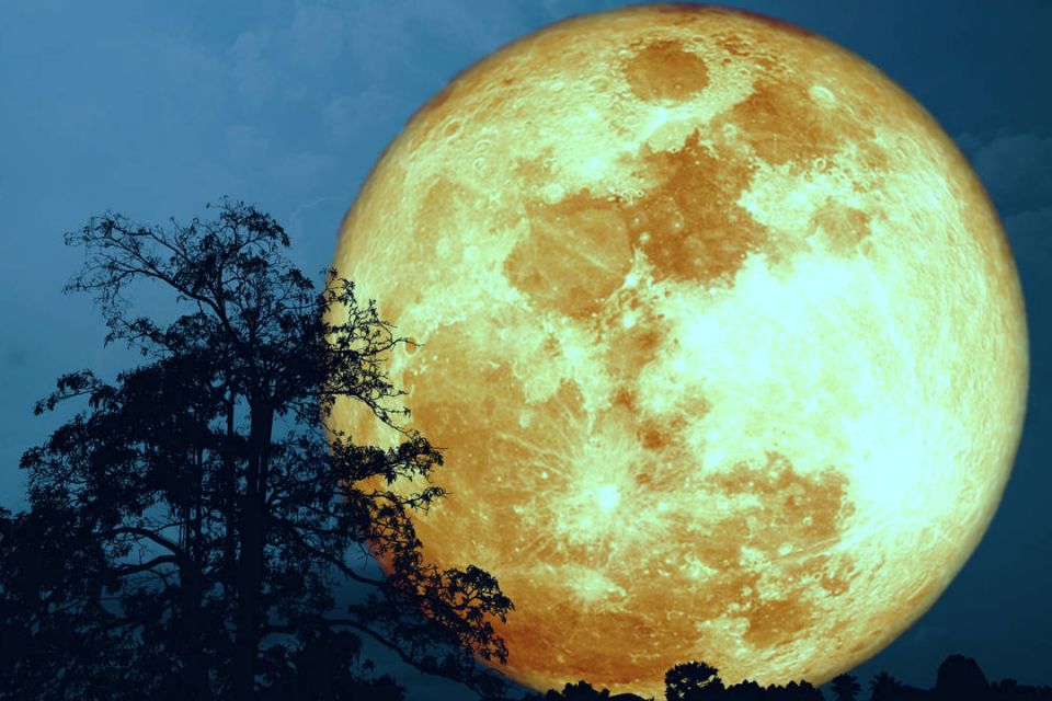 #Imperdible 🌕 Llega la Superluna de Esturión, el primer espectáculo astronómico de agosto