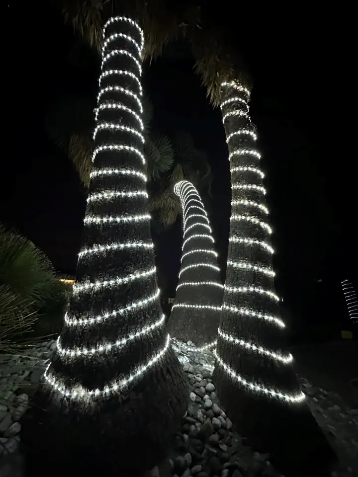 #Galería: Dinoparque iluminado, los dinosaurios se pusieron navideños en Pachuca