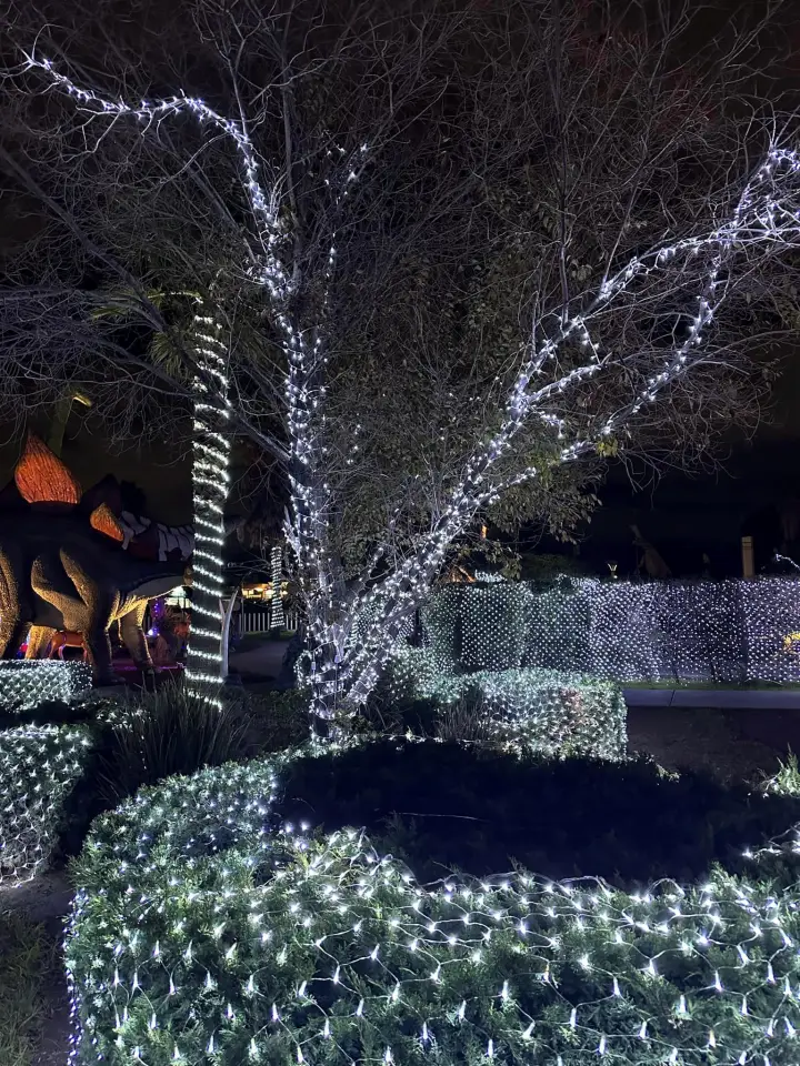 #Galería: Dinoparque iluminado, los dinosaurios se pusieron navideños en Pachuca