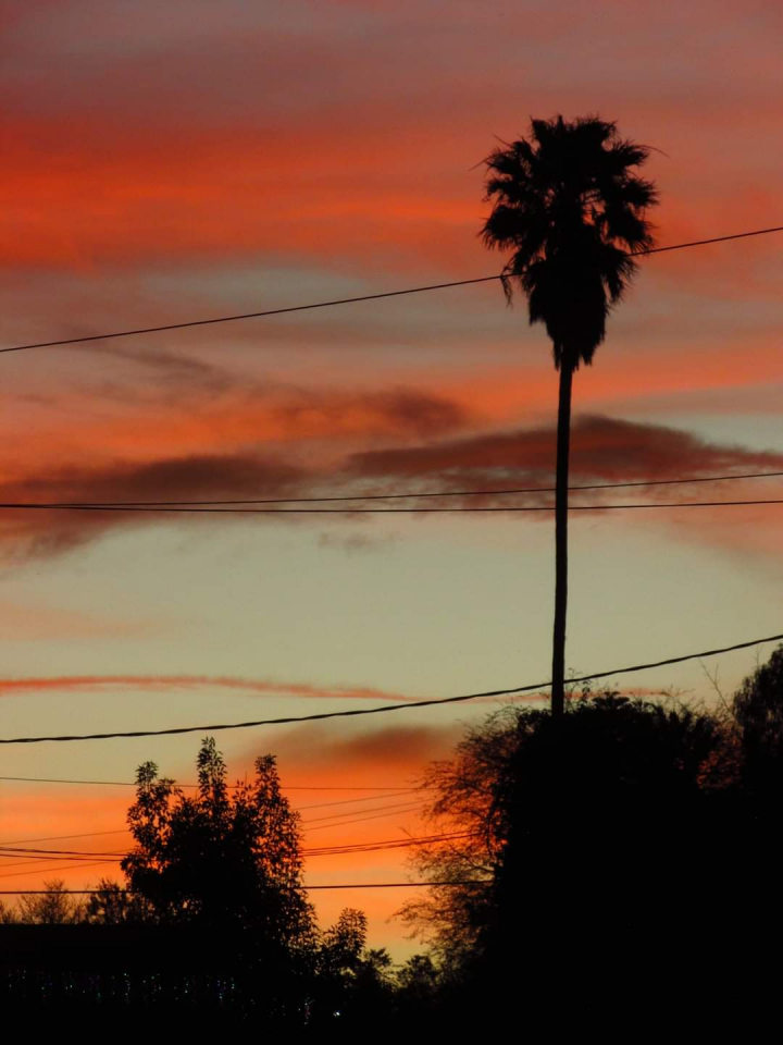 #Fotos: Así se vio el cielo este miércoles en Hidalgo