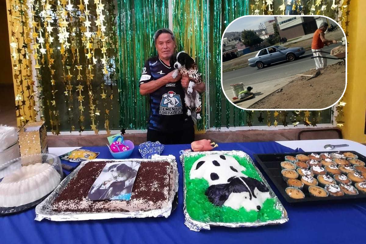 Max, el perrito viral de Pachuca, cumplió 14 años y hasta fiesta en salón tuvo