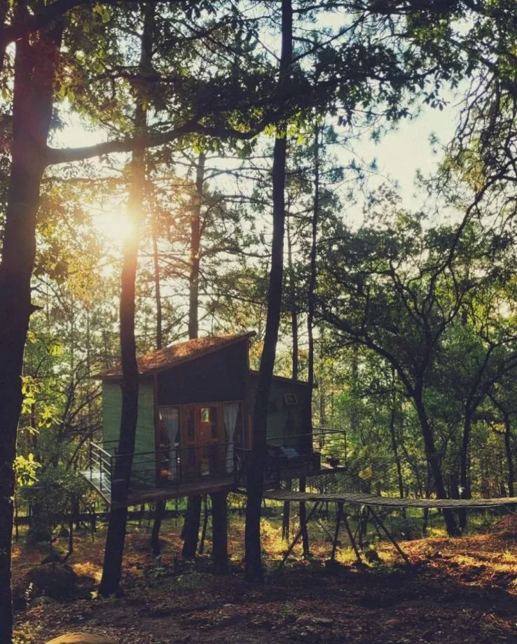 Estas cabañas entre los árboles en Huasca son ideales para escapar del estrés