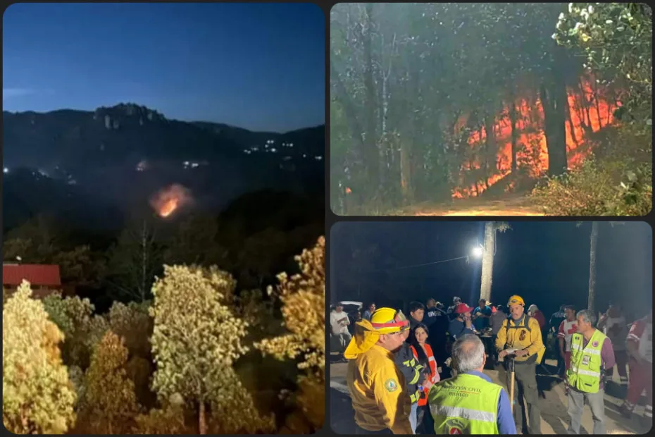 Suspenden labores en incendio forestal de Mineral del Chico; el fuego sigue activo