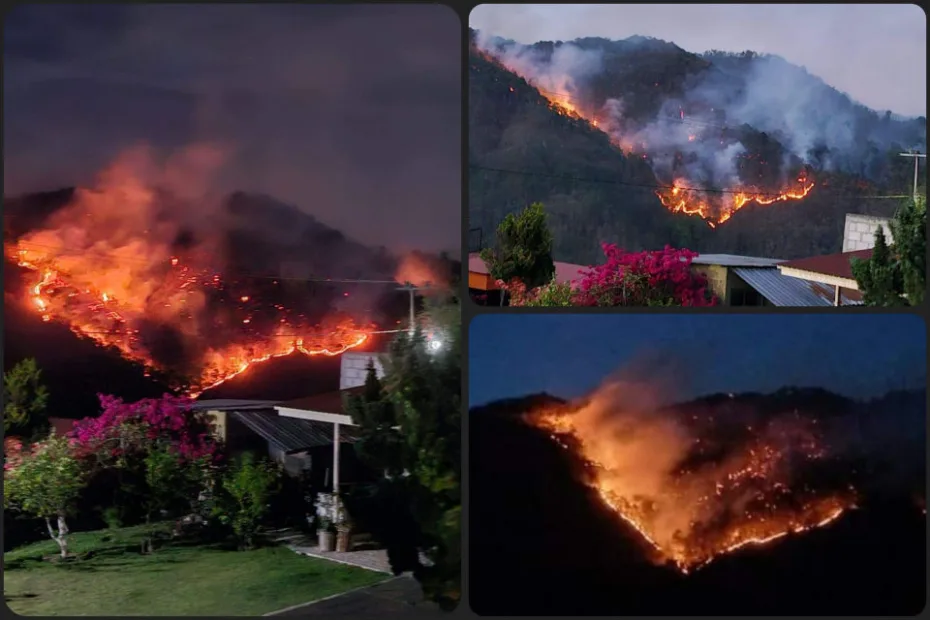 ¡Fuego! Otro gran incendio consume bosques de Hidalgo; ahora en la Sierra Alta