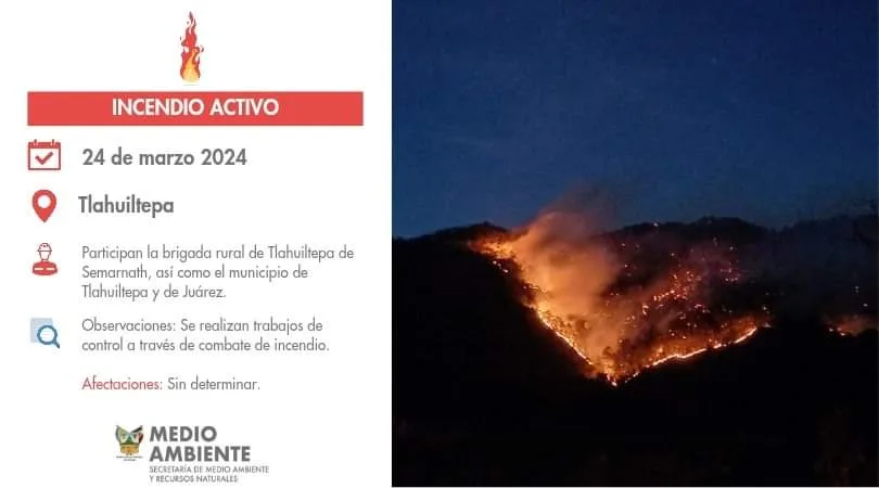 ¡Fuego! Otro gran incendio consume bosques de Hidalgo; ahora en la Sierra Alta