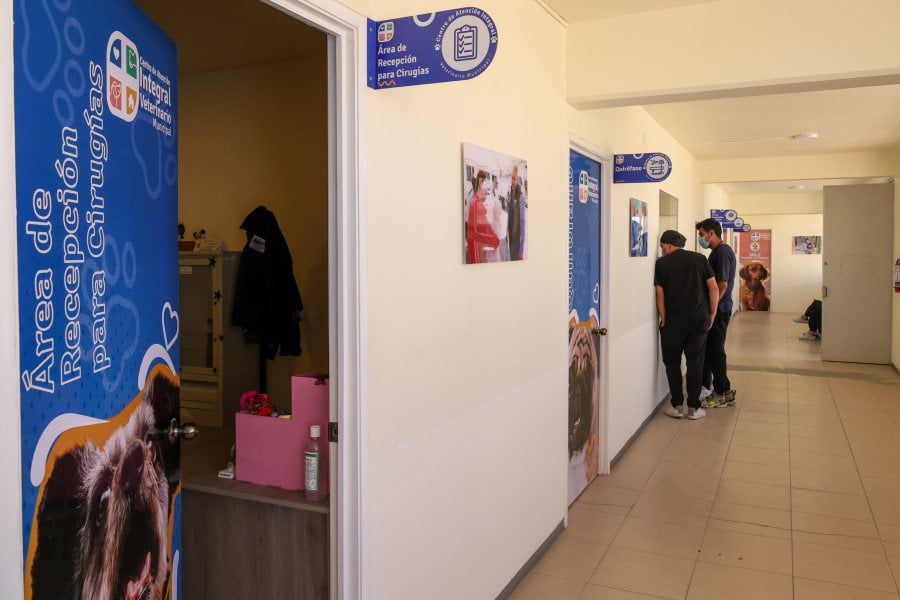 #Galería: Así es el Centro de Atención Integral Veterinario de Pachuca