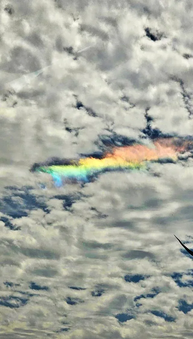 #EnFotos: Nube iridiscente adorna el cielo de la zona metropolitana de Pachuca