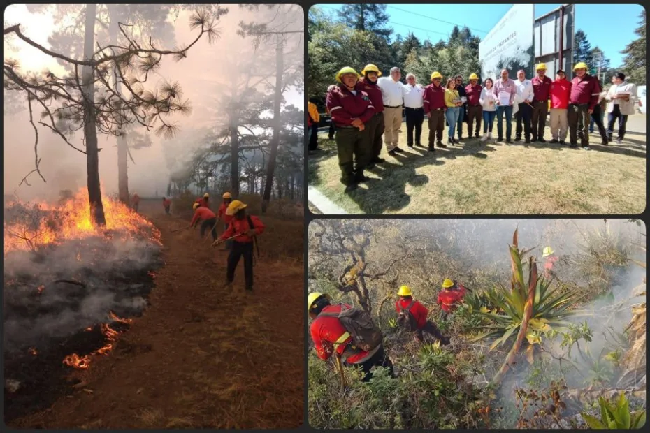 Comité de Manejo del Fuego en Hidalgo lanza operativo para atender incendios forestales