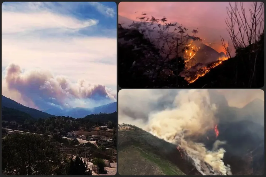 ¡Desastre! Incendio forestal de Nicolás Flores está fuera de control; pobladores piden apoyo | VIDEO