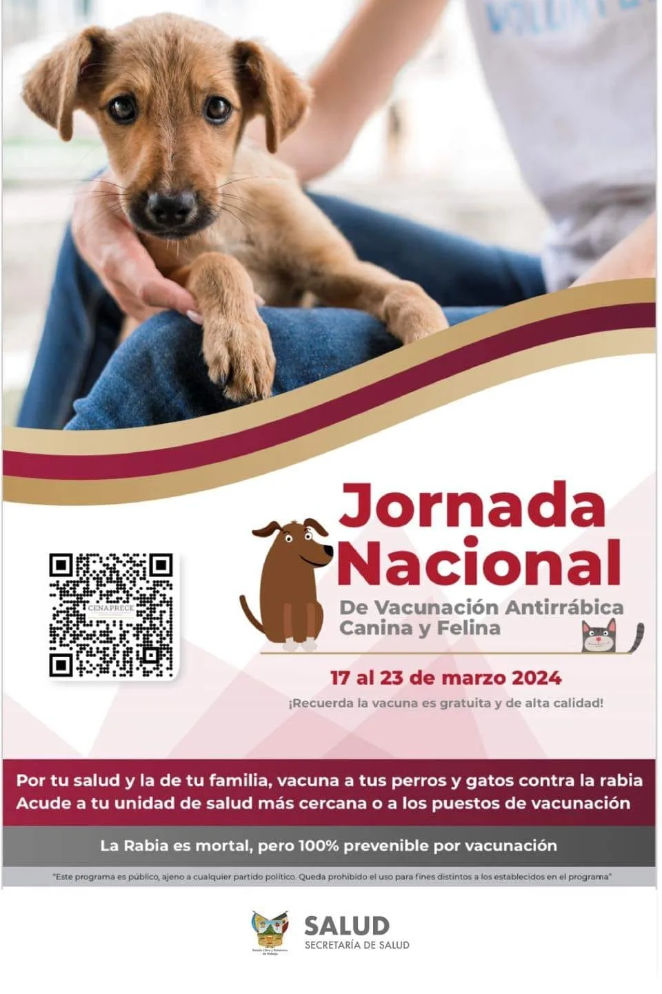 ¡Lleva a tu mascota! Realizan jornada de vacunación antirrábica canina y felina gratuita en Pachuca