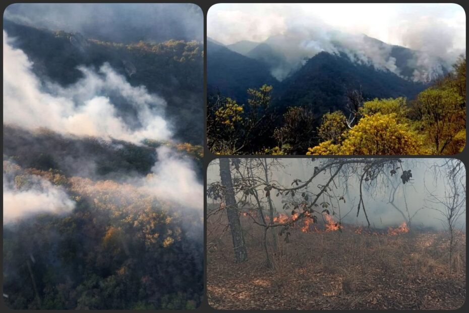 Autoridades de salud emiten recomendaciones ante aumento de incendios en Hidalgo