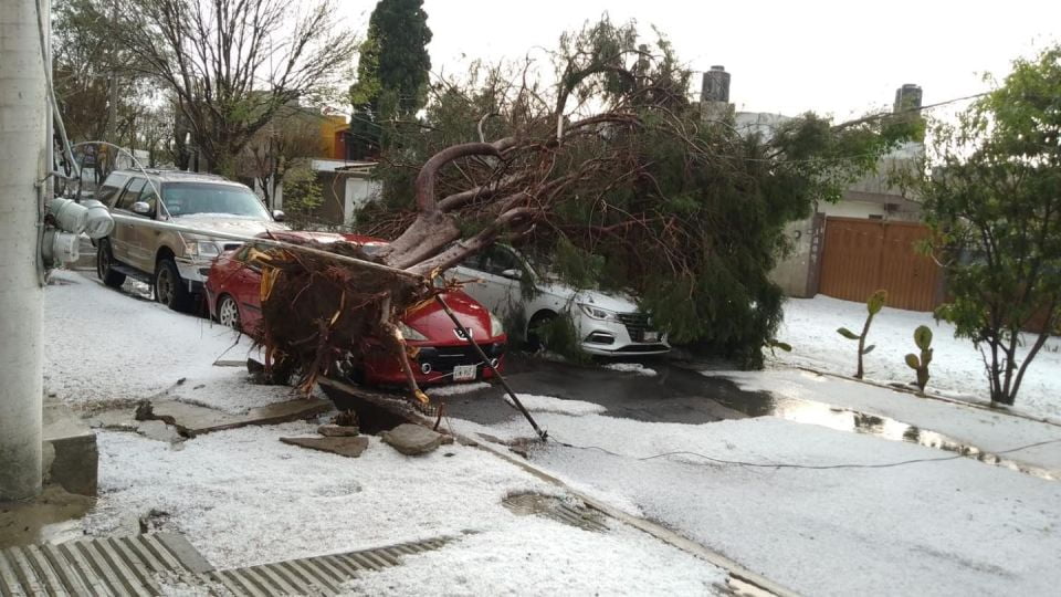 ¡Impresionante! Intensa granizada se desata en Puebla dejando gruesa capa de hielo y devastación | FOTOS y VIDEO