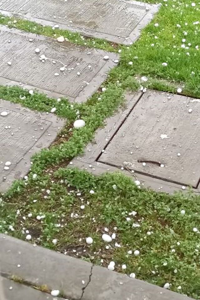 ¡Gigantes! Cae granizo casi del tamaño de pelotas de beisbol en Pachuca | FOTOS