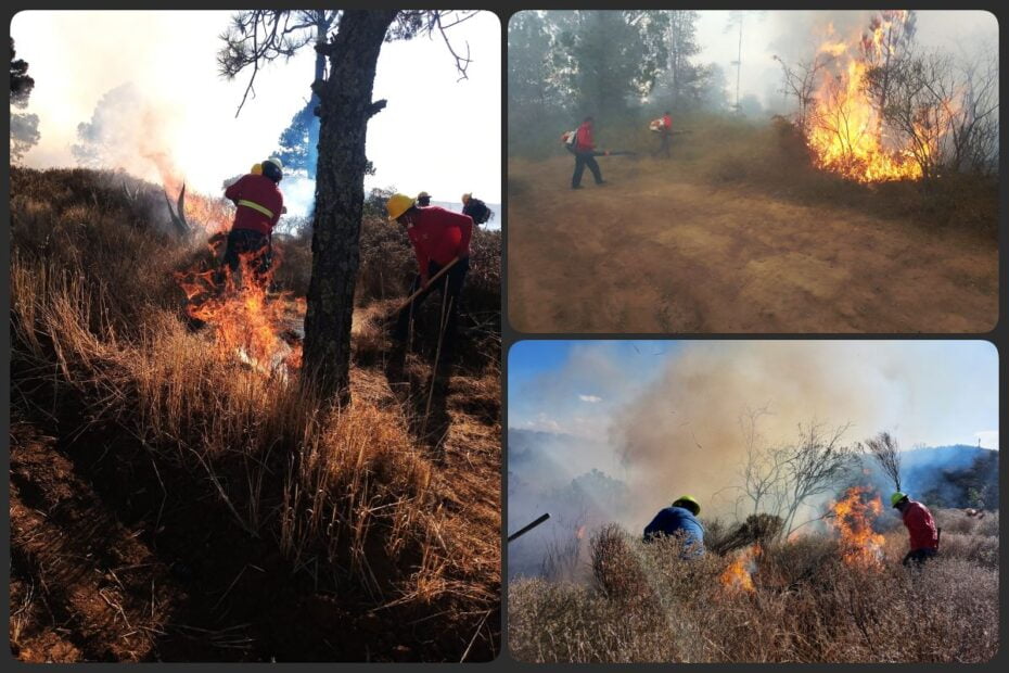 Combaten voraz incendio forestal en Tenango de Doria; el fuego sigue fuera de control