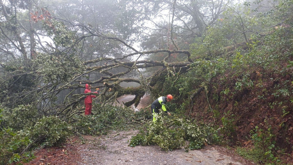 Paso de Tormenta Alberto dejó algunos derrumbes y estragos en Hidalgo