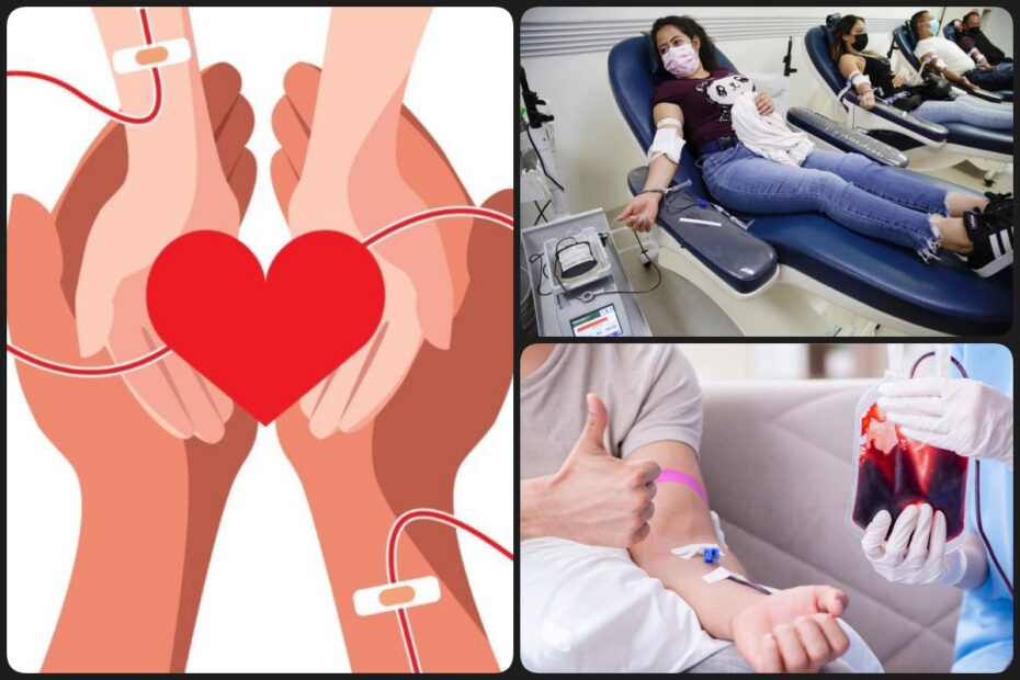 Día Mundial del Donante de Sangre: un acto de amor que puede salvar hasta 4 vidas