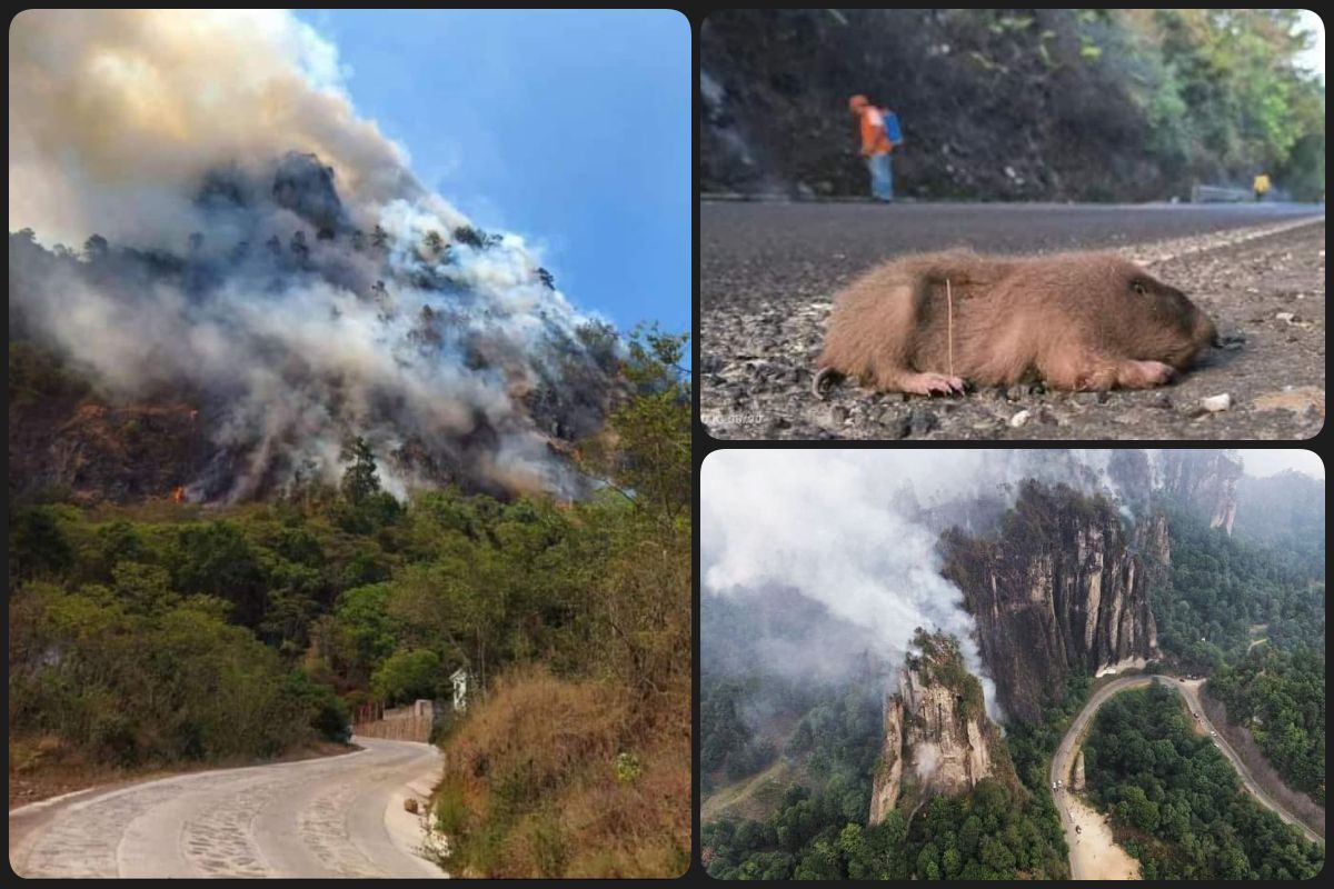 ¡Emergencia en Tenango de Doria! Incendios devastan la región Otomí-Tepehua; abren centro de acopio en Pachuca | FOTOS