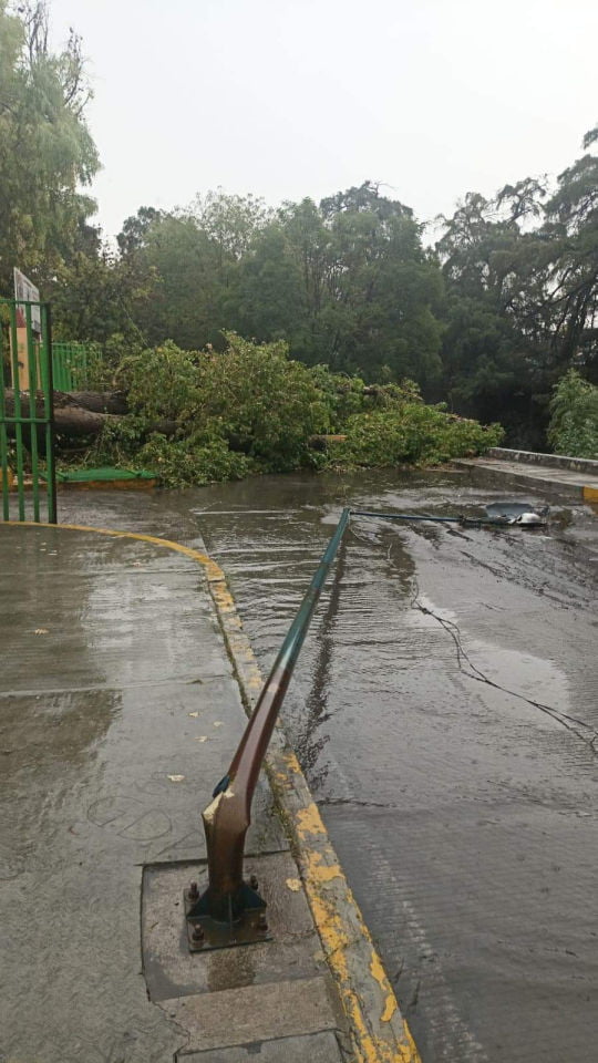 Árboles caídos, vehículos varados... Ixmiquilpan, el más afectado por las tormentas de las últimas horas