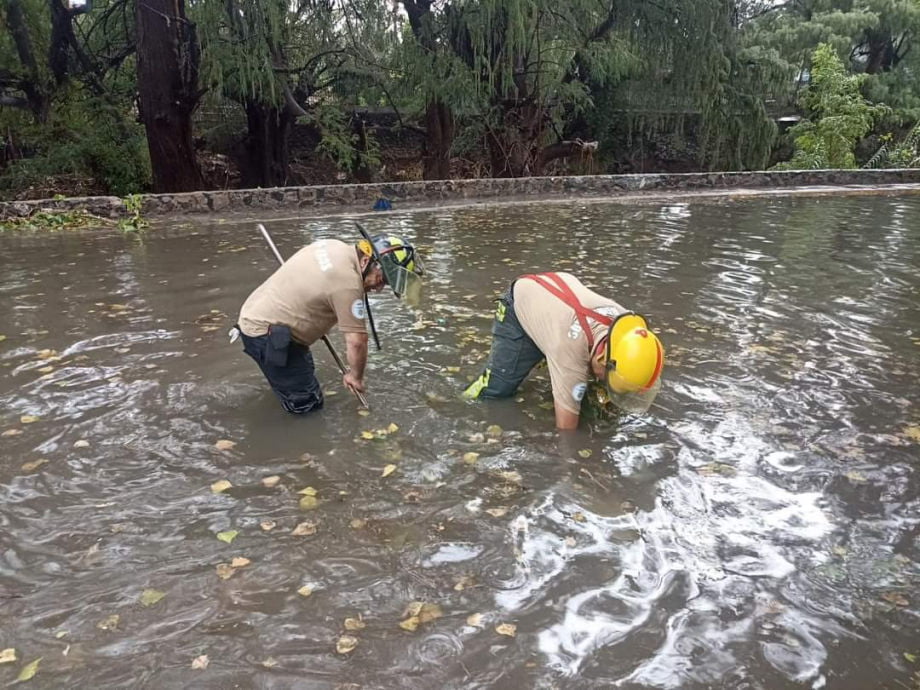 Árboles caídos, vehículos varados... Ixmiquilpan, el más afectado por las tormentas de las últimas horas