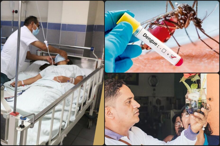 Reportan casos de dengue grave en Hidalgo y emiten medidas de prevención