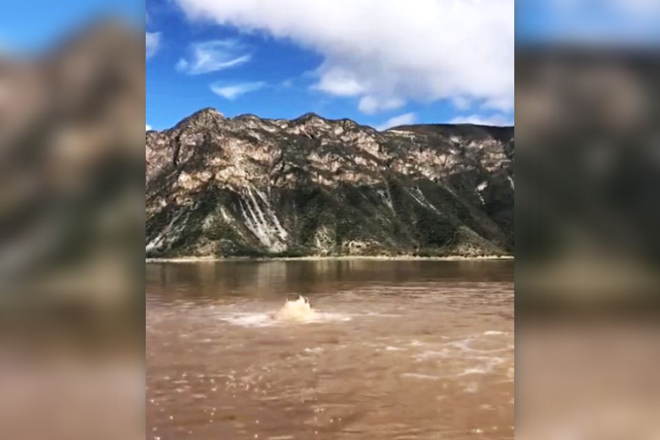 ¡Fuente natural! Captan agua brotando del suelo en Metztitlán | VIDEO