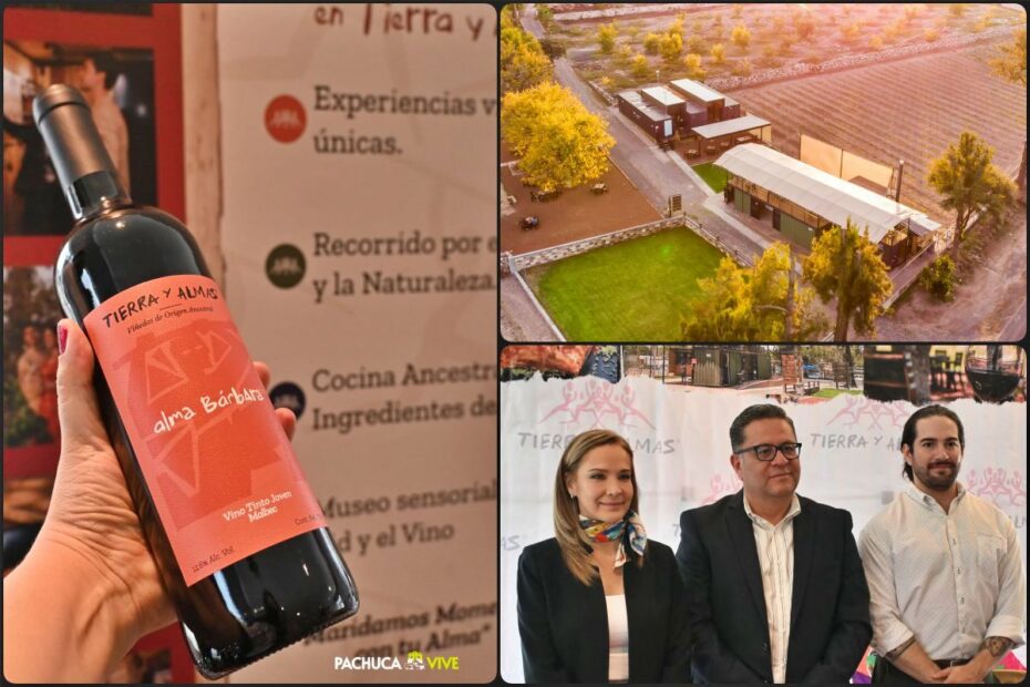 ¡Tierra y Almas está de aniversario! Este bello viñedo hidalguense celebrará con hospedaje y noches de feria