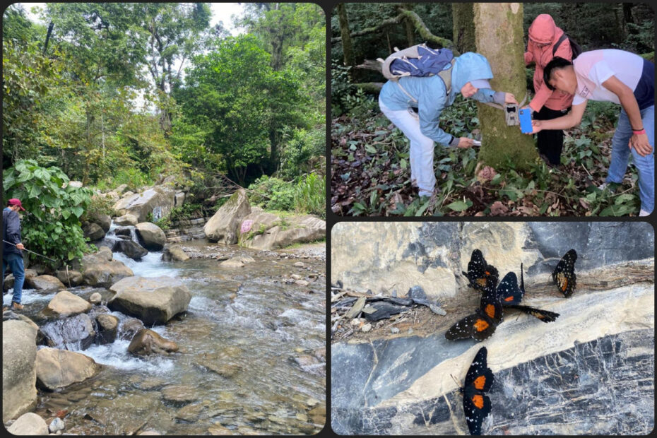 Colocan cámaras trampa para monitorear fauna en bellos rincones de Hidalgo